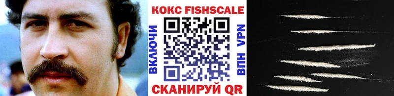 COCAIN Fish Scale  hydra ссылка  Рассказово 